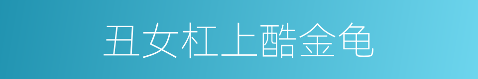 丑女杠上酷金龟的同义词