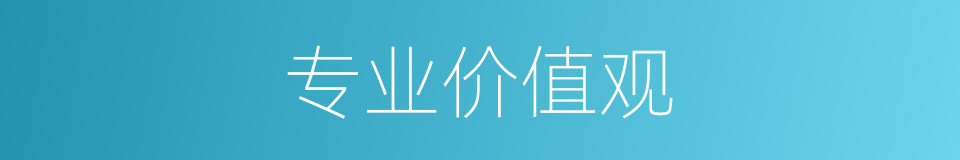 专业价值观的同义词