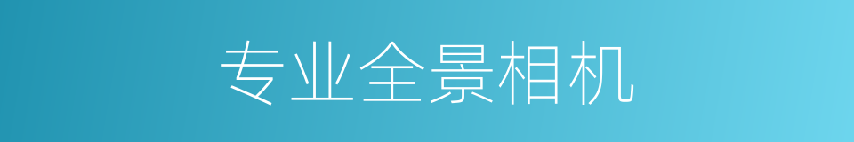 专业全景相机的同义词