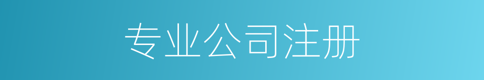 专业公司注册的同义词