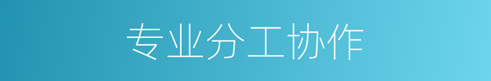 专业分工协作的同义词