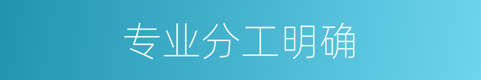专业分工明确的同义词