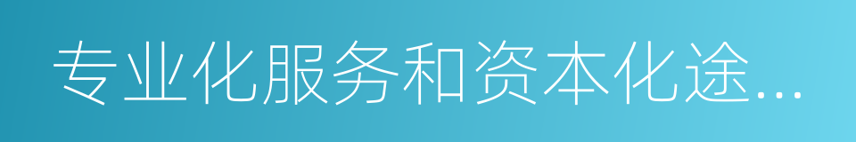 专业化服务和资本化途径构建的低成本的同义词