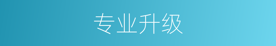 专业升级的同义词