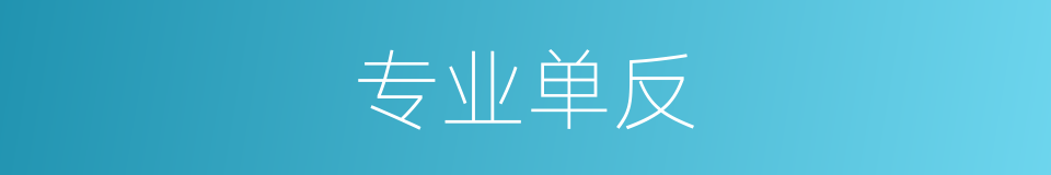 专业单反的同义词