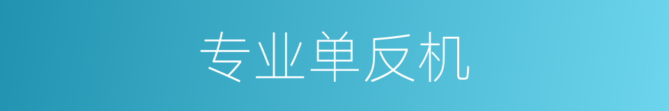 专业单反机的同义词