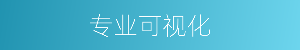 专业可视化的同义词