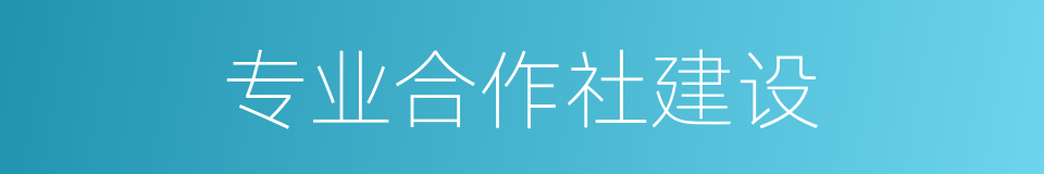 专业合作社建设的同义词