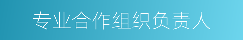 专业合作组织负责人的同义词