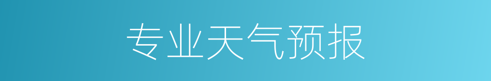 专业天气预报的同义词
