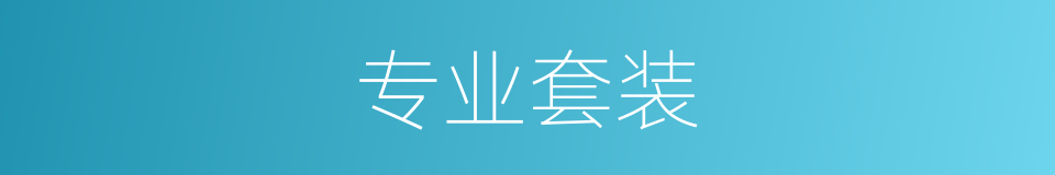 专业套装的同义词