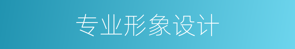 专业形象设计的同义词