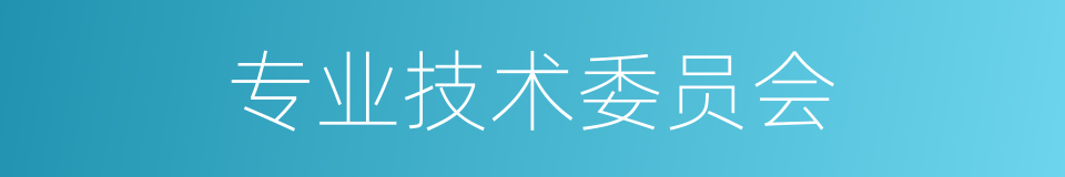 专业技术委员会的同义词