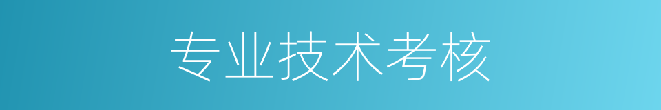 专业技术考核的同义词