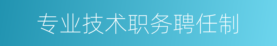 专业技术职务聘任制的同义词