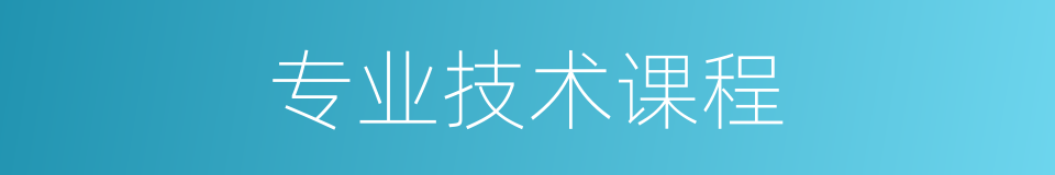 专业技术课程的同义词