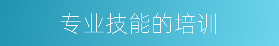 专业技能的培训的同义词
