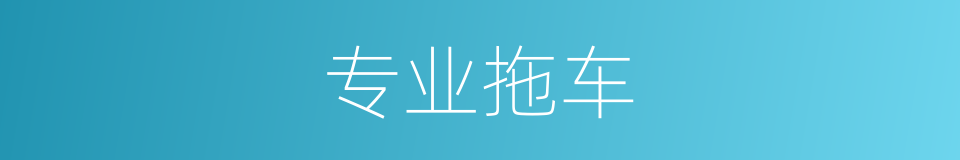 专业拖车的同义词