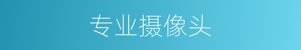 专业摄像头的同义词