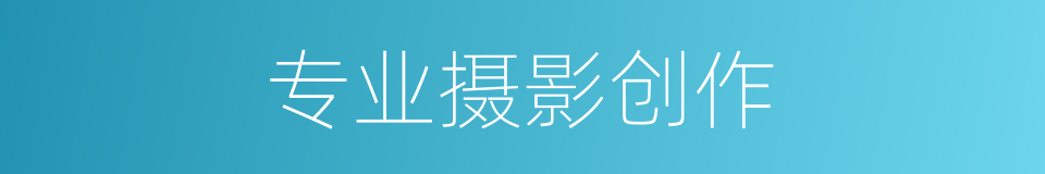 专业摄影创作的同义词