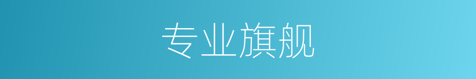 专业旗舰的同义词