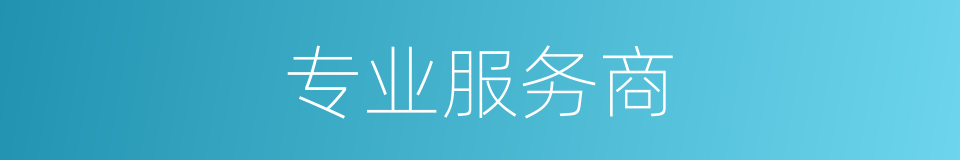 专业服务商的同义词