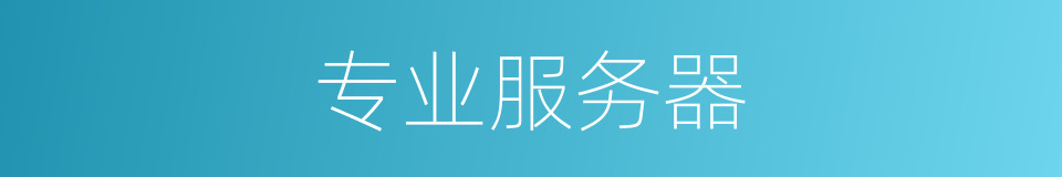 专业服务器的同义词