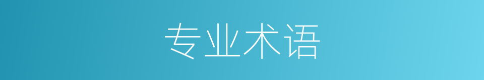 专业术语的意思