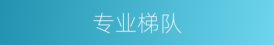 专业梯队的同义词