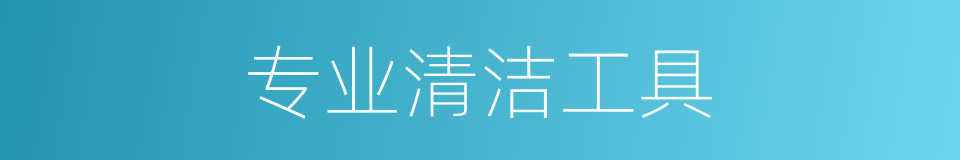 专业清洁工具的同义词