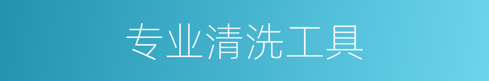专业清洗工具的同义词