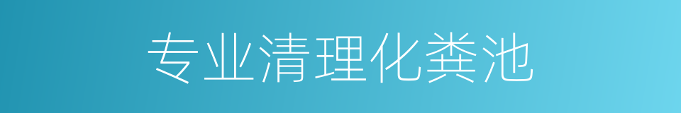 专业清理化粪池的同义词