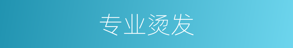 专业烫发的同义词