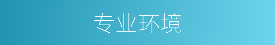 专业环境的同义词