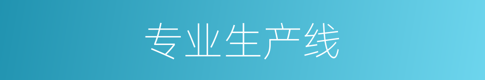 专业生产线的同义词