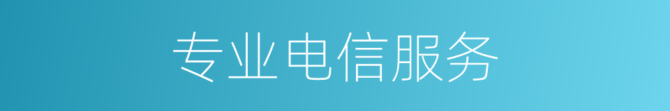 专业电信服务的同义词