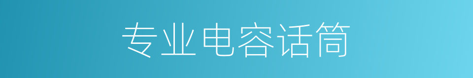专业电容话筒的同义词