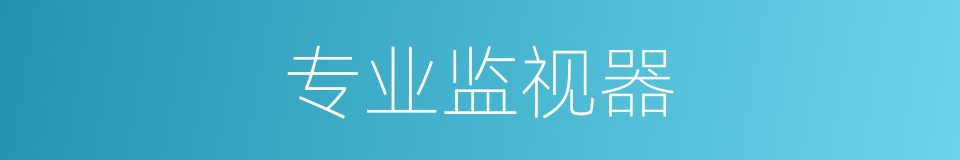 专业监视器的同义词