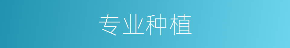 专业种植的同义词