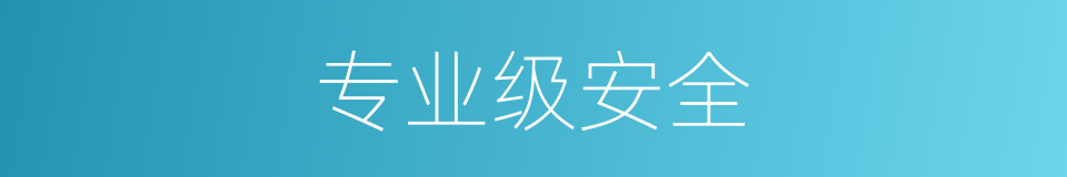 专业级安全的同义词