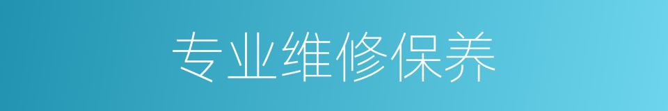 专业维修保养的同义词