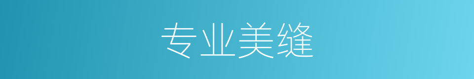 专业美缝的同义词