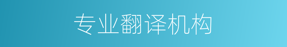 专业翻译机构的同义词
