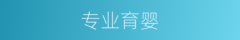 专业育婴的同义词