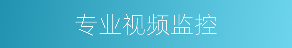 专业视频监控的同义词