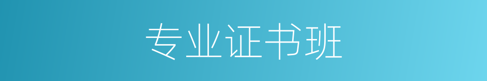 专业证书班的同义词