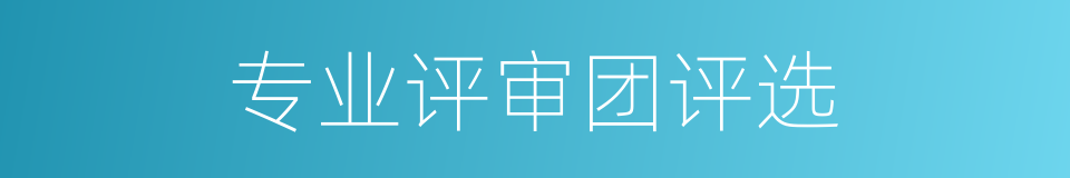 专业评审团评选的同义词