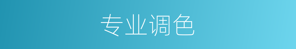 专业调色的同义词