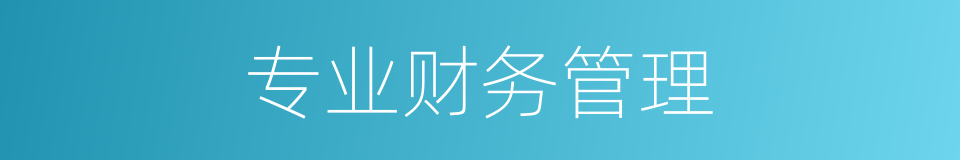 专业财务管理的同义词