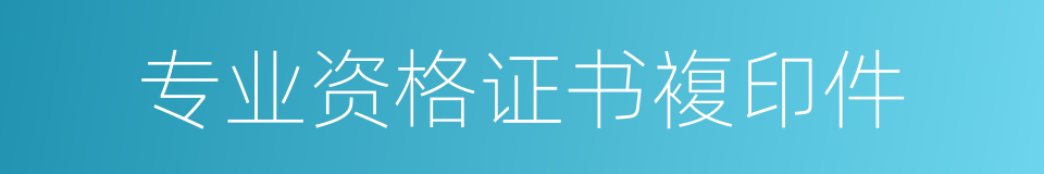 专业资格证书複印件的同义词